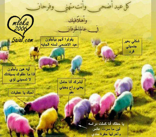 eidadha330 (2).jpg - 193.41 kB 